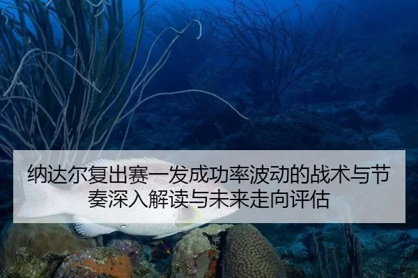 na-da-er-fu-chu-sai-yi-fa-cheng-gong-lv-bo-dong-de-zhan-shu-yu-jie-zou-shen-ru-jie-du-yu-wei-lai-zou-xiang-ping-gu-2-352.jpg